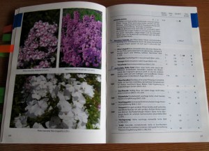 GB 1-01b _ Ein Staudenkatalog