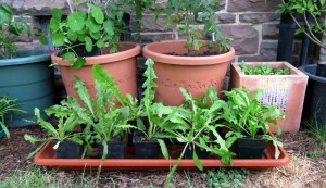 GG-2015_04b - Wegwartenschule