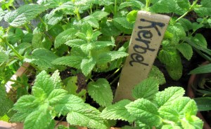 GG-2015_07c - Design