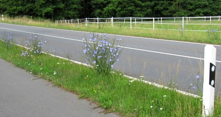 GG-2015_09b - Wegwarten