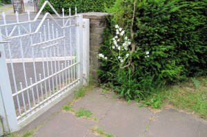 GG-2015_12b - 5 Jahre