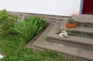 GG-2015_12c - 5 Jahre