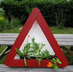 GG-2015_16 - Wildflowers 3