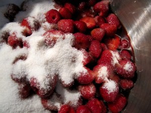 M-2015_03b - Erdbeere