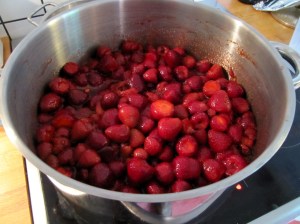 M-2015_03c - Erdbeere