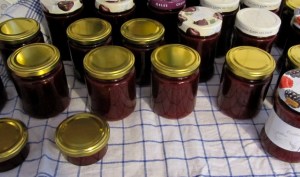 M-2015_03d - Erdbeere