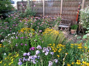 GG-2015-18 - Wesentliches - Ziergaarten