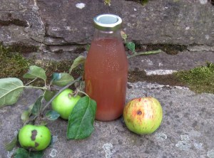 GG-2015_20 - Apfelsaft