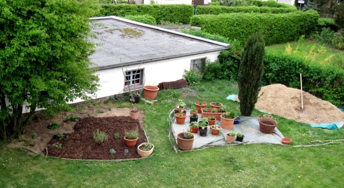 Bauerngarten 2011 (19)