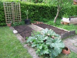 gemuesebeet-2014-07-kopie