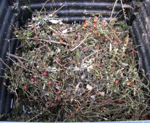 Blick in einem halb mit Grünschnitt gefüllten Thermokomposter