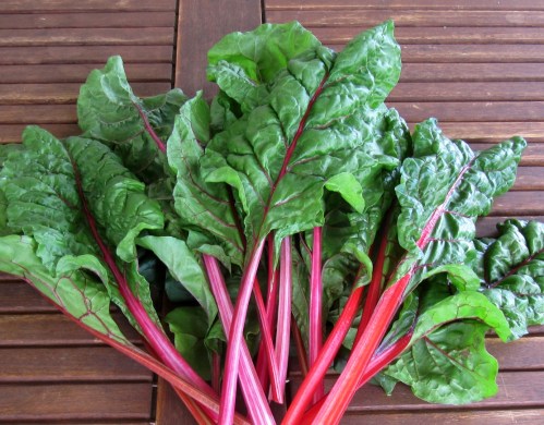 Frische Mangoldblätter