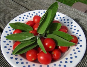 Frische Tomaten und Salbeiblätter auf einem Teller