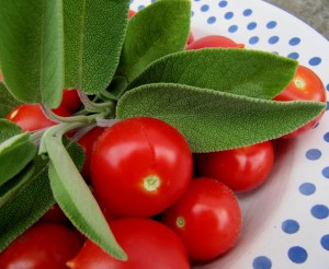 Tomaten und Salbei auf einem Teller