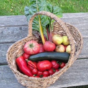 Korb mit frischem Obst und Gemüse: Tomaten, Paprika, Mangold, Äpfel. 