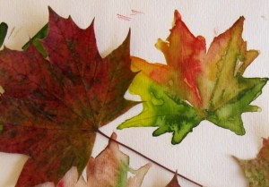 Einzelne Blätter Herbstlaub als Blätter vom Baum und als Aquarell
