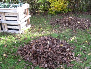 Zusammengekehrtes Herbstlaub auf einer Wiese